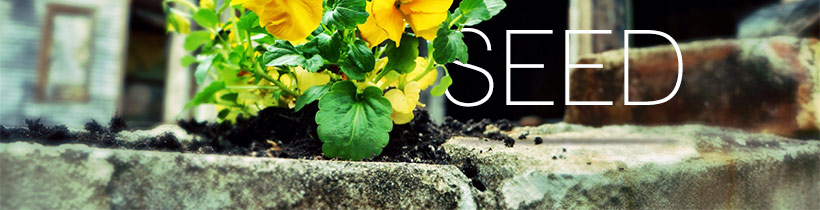 Seed